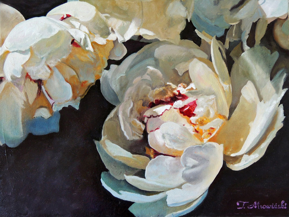 peonie w ogrodzie
